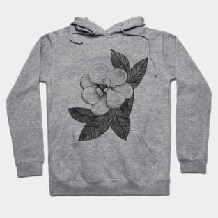 Magnolia - flowers, spring, leaves Hoodie